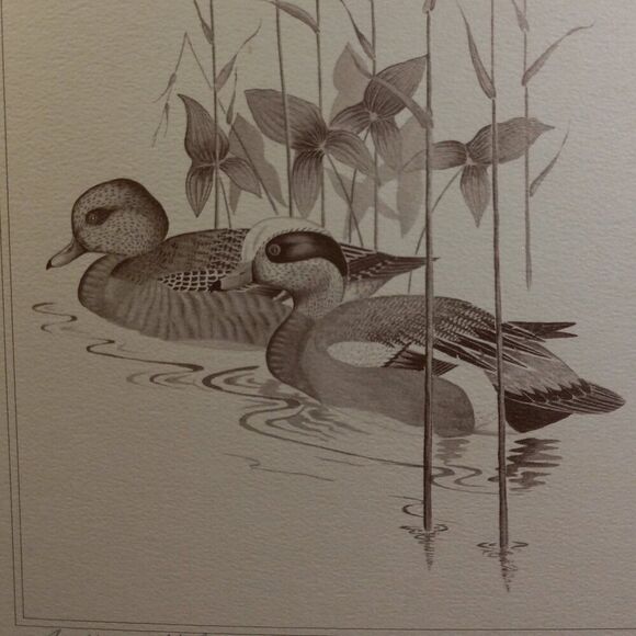 Vintage American Waterfowl Etching/Print Lynn Forehand 4 of 5 Cottagecor… - Picture 2 of 7